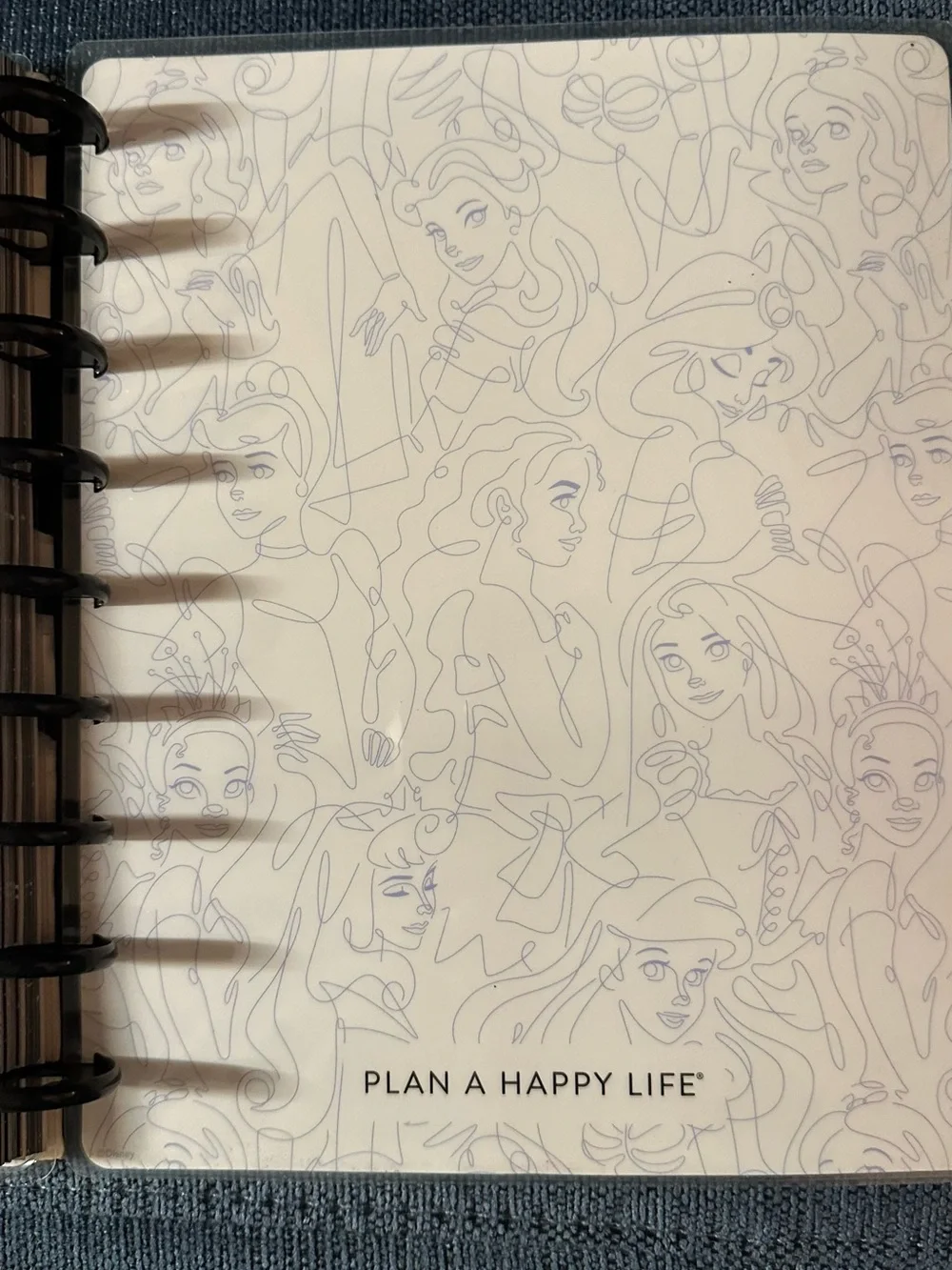 READ DESCRIPTION The Happy Planner Princess Guided Wellness Journal Classic Size